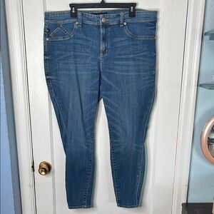 Rock & Republic 20W Blue Skinny Jeans Stretch Kashmiere 20 Plus Size Jegging